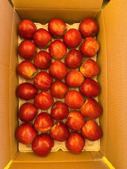 Pan India Farm-Fresh Apple Box – 5kg (Join Waitlist)